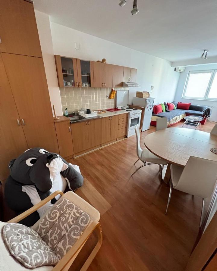 Apartments D&D Požarevac Eksteriør bilde